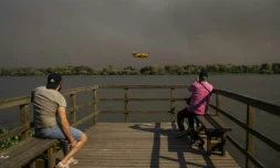 Un Canadair espagnol lors d'un feu de forêt à Pateira de Fermentelos, dans la région d'Aveiro, au Portugal, le 17 septembre 2024