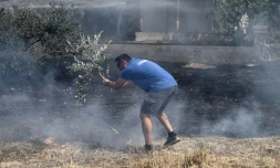 Un habitant combat les flammes qui s'approchent des maisons à Dikella prÚs d'Alexandroupoli en GrÚce le 23 août 2023
