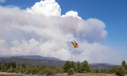 Un hélicoptère emporte une charge d'eau pour lutter contre le Bootleg Fire, le 15 juillet 2021 près de Bly, dans l'Oregon