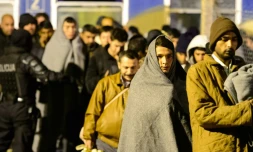 Des migrants arrivent à Sentilj le 4 novembre 2015
