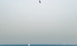 Franky Zapata lors de sa premiÚre tentative de traversée de la Manche sur son "flyboard", le 25 juillet 2019