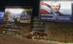 Des panneaux électoraux où figurent le candidat écologiste (G) et celui de l'extrême-droite, le 3 décembre à Vienne