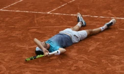L'Italien Marco Cecchinato après sa victoire sur le Serbe Novak Djokovic, le 5 juin 2018 à Roland-Garros