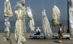 Des robes de mariée accrochées sur des palmiers à Beyrouth  dans le cadre d'une campagne pour abolir une loi qui permet à un violeur d'échapper à la prison s'il épouse sa victime, le 22 avril 2017