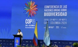 La ministre colombienne de l'environnement et présidente de la COP16 Susana Muhamad, lors de son discours à Cali, en Colombie, le 20 octobre 2024