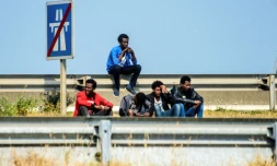 Des migrants sur la route menant au port de Calais le 21 juin 2017
