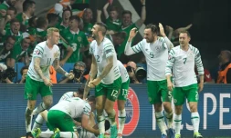 La joie des joueurs irlandais après le but de Robbie Brady contre l'Italie lors de l'Euro, le 22 juin 2016 à Lille