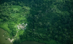 Vue aérienne d'un village de la terre indigène Koatinemo dans l'Etat du Pará, au Brésil, le 13 juin 2025