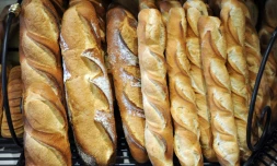 De nombreux produits du quotidien, certains emblématiques de la gastronomie française, sont issus de différents types de fermentation (pain, vin, fromage, beurre, saucisson, choucroute...)
