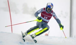 Alexis Pinturault lors du slalom de Levi, en Finlande, le 12 novembre 2017