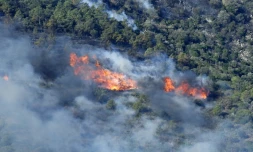 Incendie prÚs de la commune espagnole de Portbou, à proximité de la frontiÚre avec la France, le 5 août 2023