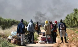 Des migrants d'Afrique subsaharienne observent la destruction de leur camp de fortune, à El Amra en Tunisie le 5 avril 2025