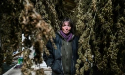 Nathalie Pagé à Bouvieres, à la Ferme du Faucon dans le Sud-Est de la DrÎme provençale, le 8 février 2021