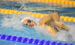 Yannick Agnel lors de la finale de 200 m libre à Montpellier, le 30 mars 2016