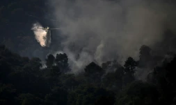 Un avion de lutte contre les incendies Air Tractor AT-802F "Fire Boss" largue de l'eau sur un feu de forêt près du village de Murca dans le nord du Portugal, le 20 juillet 2022