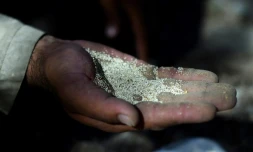 Un fermier afghan montre des graines de pavot à Lashkar Gah, dans le sud de l'Afghanistan, le 4 octobre 2016