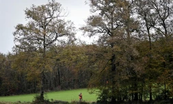Un chasseur en novembre 2021 dans le Lot