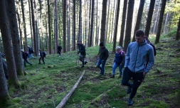 Des volontaires participent à une battue pour retrouver Lina, 15 ans, disparue depuis le 23 septembre, à Saint-Blaise-la-Roche, dans le Bas-Rhin, le 26 septembre 2023