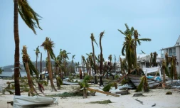 Les dégâts provoqués par le passage de l'ouragan Irma, le 6 septembre 2017 sur l'île de Saint-Martin