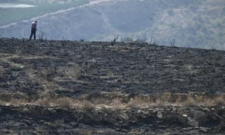 Un homme marche sur ses terres brĂ»lĂ©es aprĂšs un incendie de forĂȘt ayant fait au moins 12 morts, Ă Alfaix, dans la province d'AlmerĂa, le 11 juillet 2026