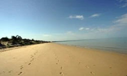 Les corps sans vie de deux jeunes Français travaillant comme bénévoles pour une association à Madagascar, ont été retrouvés dimanche sur une plage de l'île touristique de Sainte-Marie (nord-est)