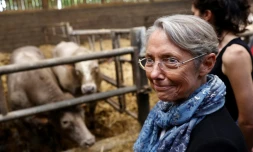 La Première ministre Elisabeth Borne en campagne pour les législatives dans le Calvados le 21 mai 2022