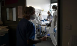 Du personnel médical s'occupe d'un malade du Covid-19 placé sous assistance respiratoire au CHU Pierre Zobda-Quitman de Fort-de-France, le 1er décembre 2021