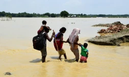 Des Népalais cheminent dans des eaux inondées le 15 août 2017 dans la région de Saptari, au sud-est de Katmandou