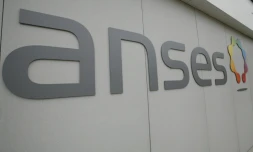 De toutes les causes d'exposition des Français au cadmium, l'alimentation est clairement la principale, souligne l'Anses