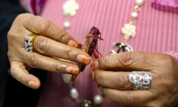 Moudi al-Miftah, journaliste koweïtienne de 64 ans, montre un criquet qu'elle vient de cuisiner dans sa maison à Al-Ahmadi, à 35 km au sud de la ville de Koweït, le 25 janvier 2020