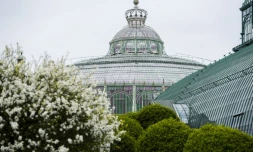 Les Serres royales de Laeken, le 14 avril 2017, à Bruxelles, avant l'ouverture du site au public pendant trois semaines