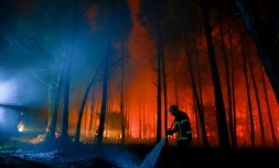 Un pompier lutte contre un feu de forêr à Luglon, dans les Landes, le 14 août 2026