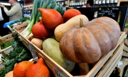 Des légumes "bio" vendus à Saintes, le 23 octobre 2018 en Charente-Maritime