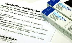 Des vaccins contre la grippe saisonniĂšre, dans une pharmacie Ă Paris, le 13 octobre 2020