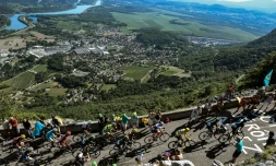 Le peloton lors de la 15e étape du Tour de France, le 17 juillet 2016 entre Bourg-en-Bresse et Culoz