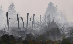 De la fumée de l'incendie en Belgique, le 17 août 2026
