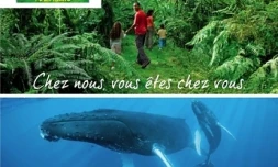 Visuel de campagne publicitaire de l'IRT