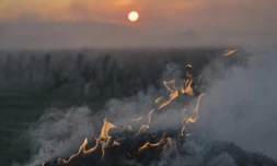 Ballot de paille enflammé en bordure de vignes pour lutter contre le gel à l'aube à Vernou-sur-Brenne, en Indre-et-Loire, le 4 avril 2022