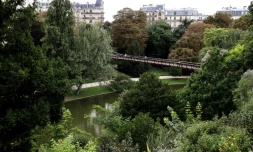 Connu pour son temple perché, ses reliefs et ses bars tendances, le parc des Buttes-Chaumont, qui fête cette année ses 150 ans, est un poumon vert pour Paris et un repaire pour des espèces animales et végétales comme l'orge sauvage ou la chouette hulotte.