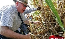 Dominique Bussereau, lors d'une précédente visite ministérielle à La Réunion
