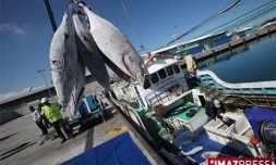 Mardi 13 Octobre 2009

Déchargement du Lingsar 08