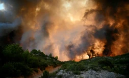 La forêt en feu à Fontjoncouse, dans l'Aude, le 6 août 2025