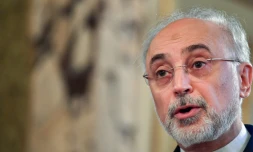 Le vice-président iranien Ali Akbar Salehi à Rome, le 10 octobre 2017