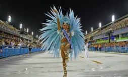 Une danseuse au Sambodrome de Rio de Janeiro lors du carnaval, le 23 février 2020