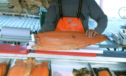 La consommation d'acides gras oméga-3, contenus en grande quantité dans certains poissons comme le saumon, les sardines ou les anchois, est liée à une réduction de 10% du risque de mourir par crise cardiaque