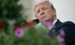 Le président américain Donald Trump, le 29 mai 2017 à Arlington aux Etats-Unis