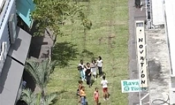 Mardi 27 Octobre 2009

De la pelouse dans la rue Maréchal Leclerc