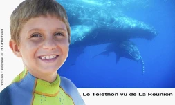 affiche d'un reportage "Etienne et les baleines", qui sera diffusé sur RFO et France Télévision durant le Téléthon prévu les 4 et 5 décembre 2009.