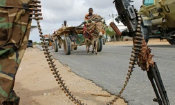 Des soldats au garde-à-vous pendant une visite du président somalien à Afgooye, près de Mogadiscio, le 30 juillet 2012