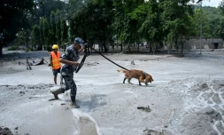 Un membre des forces de sécurité et son chien recherchent des survivants à la suite des inondations à Trishuli au Népal, le 27 août 2026
